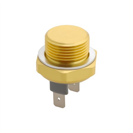 YINETTECH Interrupteur de Température de Ventilateur de Radiateur M12x1
