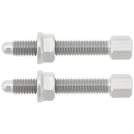 ECSiNG Lot de 2 Boulons Et écrous de Tendeur de Chaîne en Acier Inoxydable M8 X 1