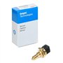 Delphi Technologies TS10270 Capteur De Temperature