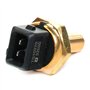 Delphi Technologies TS10270 Capteur De Temperature