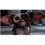 Gremlins + Gremlins 2 : La Nouvelle Génération [DVD]