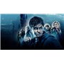 Harry Potter - L'intégrale 8 Films + DOBBLE [DVD]