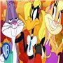 Coffret Warner 100 ans - Looney Tunes: Intégrale de la collection Platinium [DVD]