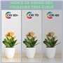 Lampes fluorescentes compactes