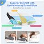 Derila Oreiller Mémoire de Forme Ergonomique Cervical l'oreiller (Pack de 1) Coussin Mémoire de Forme pour Dormeurs Latéraux, Do