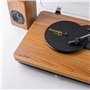 Roxel VRP-90 Tourne-disque avec haut-parleurs stéréo, tourne-disque vinyle avec haut-parleur, 3 vitesses et 3 tailles pour diver