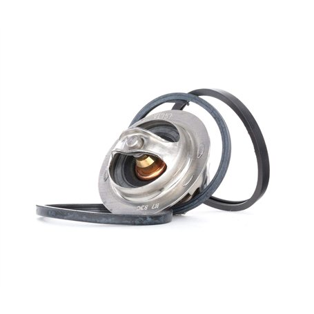 GATES Thermostat TH13783G1