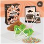 Science4you Fabrique de Sucettes en Chocolat pour Enfants 8+ – Kit de Fabrication de Chocolat pour Faire Vos Propres Sucettes et