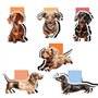 BETESSIN 6Pcs Marque-Pages Aimanté Enfant Bookmark Chien Signet Magnétique Marqueurs de livre pour Enseignant Étudiant Lecteur