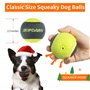 SKIPDAWG Tennis Lot de 4 balles de Tennis 170 g