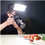 VILTROX VL-162T Lampe vidéo LED CRI95+, Panneau Lumineux Portable à intensité Variable pour Appareil Photo Reflex numérique avec