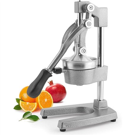 H&h spremimelograno leva professionale in metallo grigio cm29x40