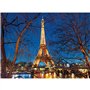 Puzzle 2000 pieces : Tour Eiffel illuminée