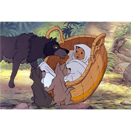 Sibilla Masques FFP2 NR D (certification dolomite) CE 0465 Fabriqué en Italie 50 pcs Noir | faciaux légers et confortables à 5 c