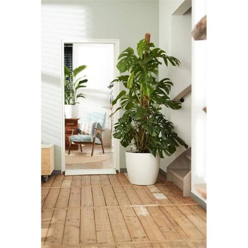 Bracelet Unisexe Violinist Talent Jewels TJA-4-09-02-2-235 Noir