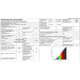 Bracelet Unisexe Creative Talent Jewels TJA-5-06-02-1-235 Argenté