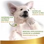 Linea 101, Protection Solaire Spray Naturel, 250ml - Ecran Solaire pour Chiens et Chats - Solution Végétal Contre Les Rayons du