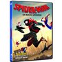 Spider-Man - Un Nuevo universo - DVD