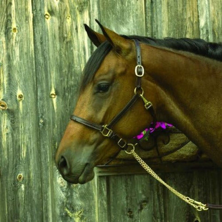 Bague Femme Majorica 17218.01.1.913.010.1