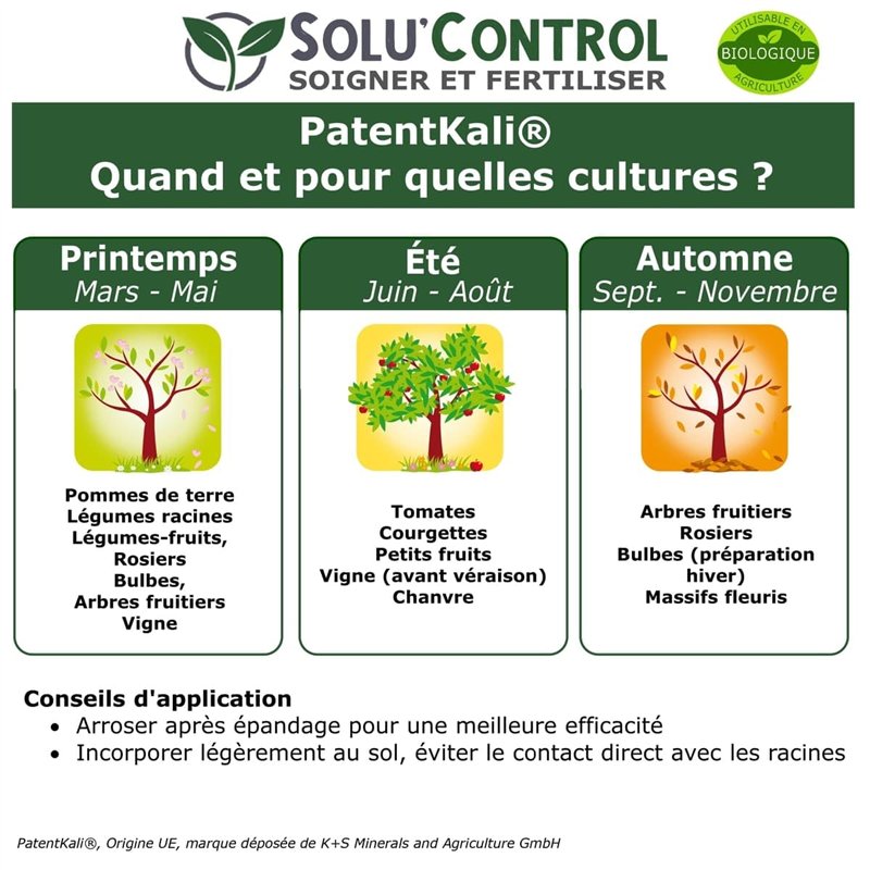 Torche TIG 4M SR-9 10-25 Solter - Compacte et légère