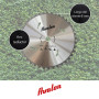 Avalon PRO - Disque à 40 dents professionnel pour débroussailleuse, lame spéciale pour tiges ligneuses 255 x 1,4, longueur de la