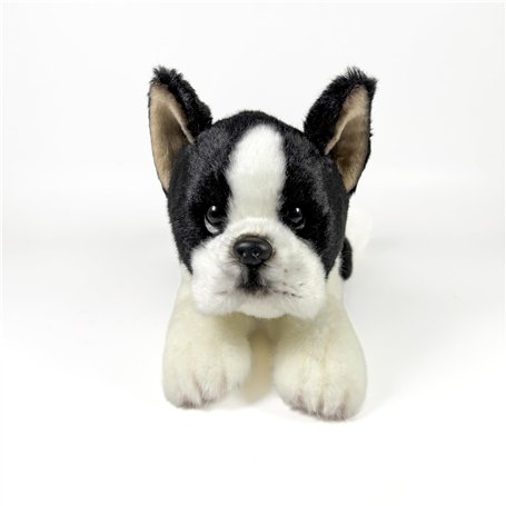 FUNDACIÓN BOCALAN - Peluche Boston Terrier couché 25 cm - + 0 Mois (DeQube 939D00292)