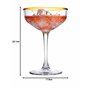 Pasabahce Timeless Coupes, Verre