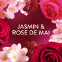 Jasmin et Rose de Mai