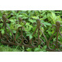 Esschert design - bordure de jardin grand modèle en fonte