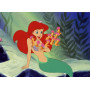 Arielle-Die Meerjungfrau (Disney Classics) [Import]