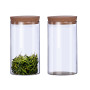 Lot de 2 Bocaux Conservation Verre
