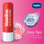 Vaseline Lip Therapy Rosy| Baume à lèvres teinté nourrissant | Hydratant pour les lèvres (Rosy (2 Pièces))