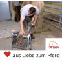 Amesbichler Pince à Ongles recouvrement Acier Inoxydable Sabot Nail Puller zieh Pince | Hoof à Cheval