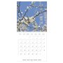 Arbres et arbustes la floraison (Calendrier mural carré 2026, 30 x 60 cm (ouvert)) Calendrier double avec une page pour vos pris