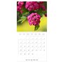 Arbres et arbustes la floraison (Calendrier mural carré 2026, 30 x 60 cm (ouvert)) Calendrier double avec une page pour vos pris