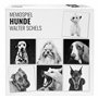 Fotografenverlag Hunde Chiens – Jeu de mémoire