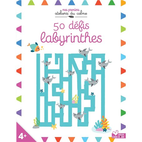 50 défis labyrinthes