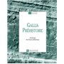 Gallia préhistoire-42-2000 38,65 €
