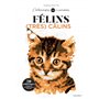 Colo by number - félins très calins