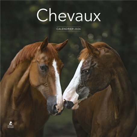 Calendrier 2026 - Chevaux