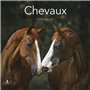 Calendrier 2026 - Chevaux