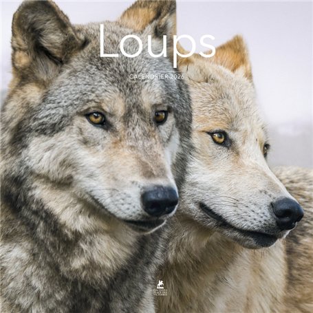 Calendrier 2026 - Loups