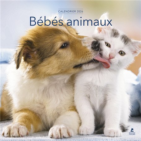 Calendrier 2026 - Bébés Animaux