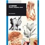 DESSIN CRAYON SANGUINE ENCRE 17,12 €