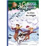 La cabane magique, Tome 41 6,75 €