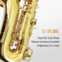 WUQIMUSC Saxophone alto débutant pour adultes, étudiant, saxophone Eb, instrument professionnel en laiton avec étui pour saxopho