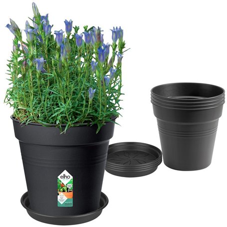 ELHO Lot de 5 pots de fleur de culture avec soucoupe Green Basics - Ø17 x H15