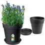 ELHO Lot de 5 pots de fleur de culture avec soucoupe Green Basics - Ø17 x H15