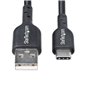 Câble USB Startech USB2AC30CMBK Noir