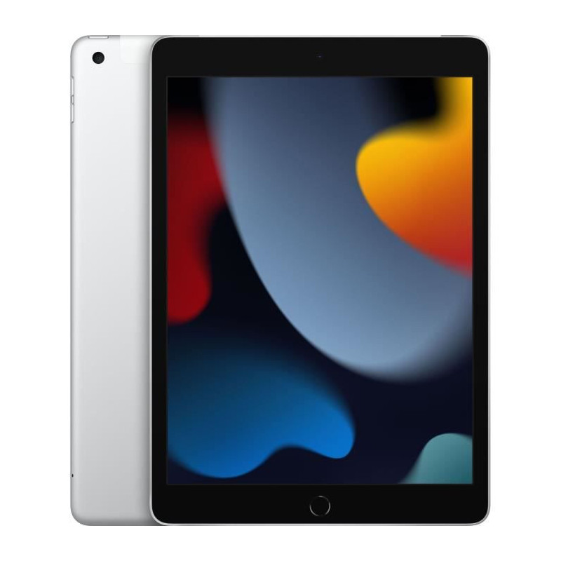 Tablette Apple iPad Argenté 256 GB